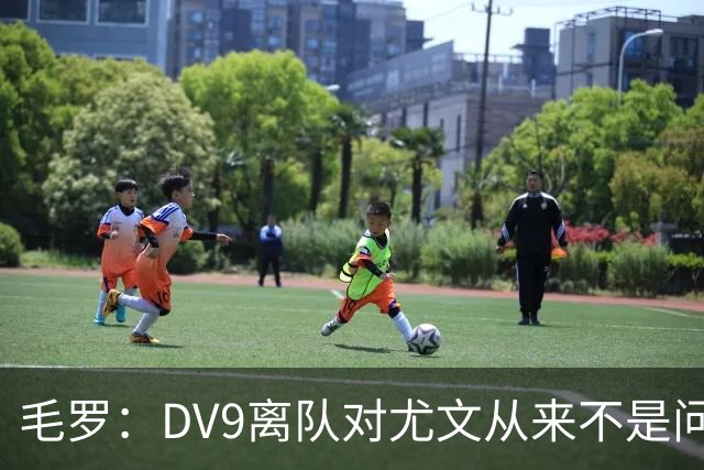 毛罗：DV9离队对尤文从来不是问题，新的中锋必须去成为最佳射手